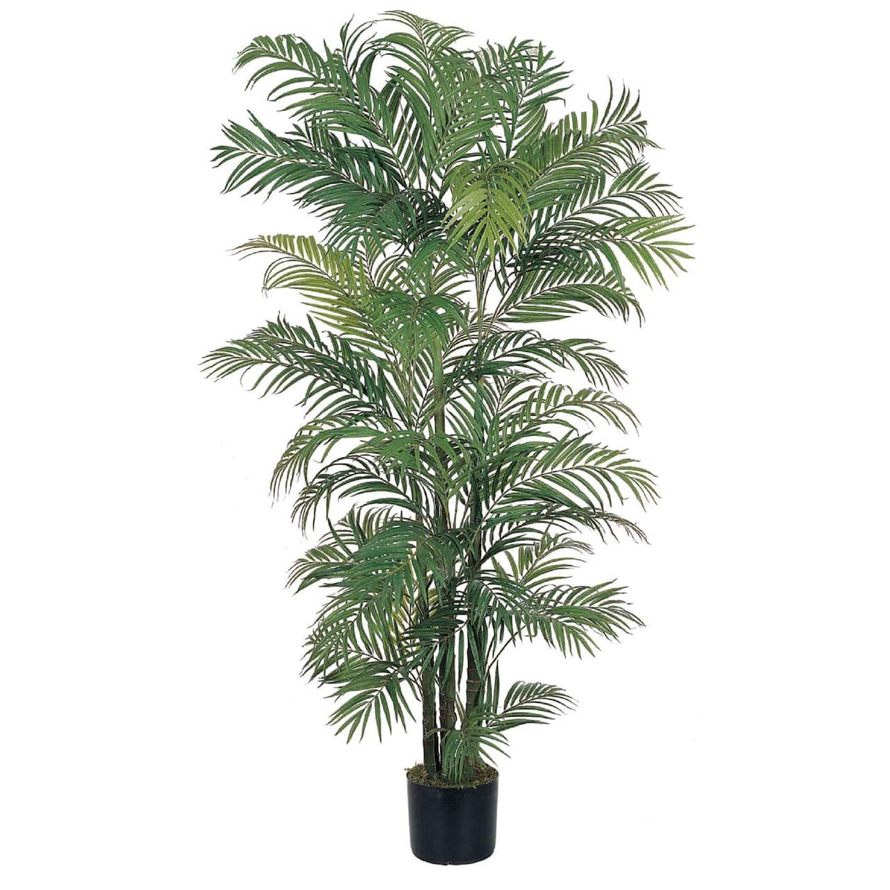 6ft. Potted Areca Silk Palm Tree
